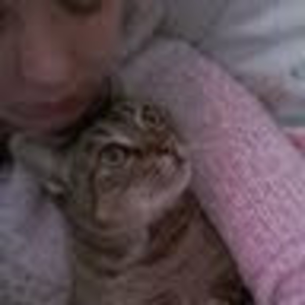 Meet your Posher, Christina